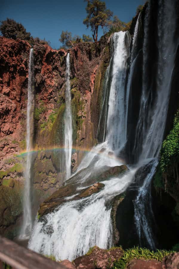 From Marrakech: A day Trip to Ouzoud waterfalls - Arriving at a 110-meter waterfall