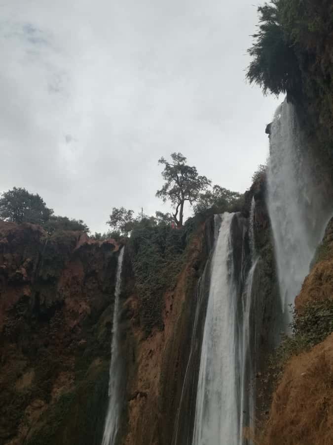 From Marrakech: A day Trip to Ouzoud waterfalls - The $22 price and what it really covers