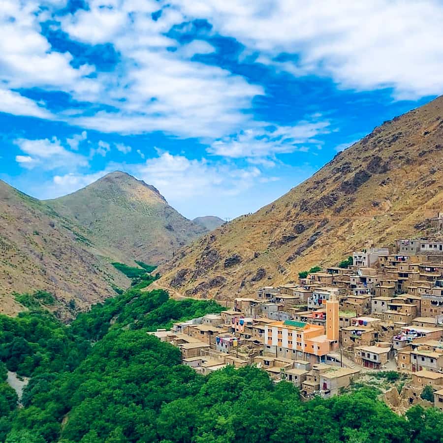 From Marrakech: Atlas Mountains and Berber Village Day Trip - Tahnaout and the Argan oil stop