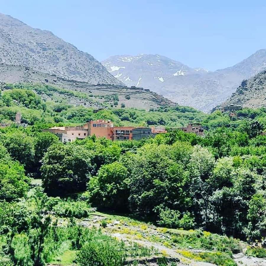 From Marrakech: Atlas Mountains and Berber Village Day Trip - Who should book this Atlas Mountains day trip