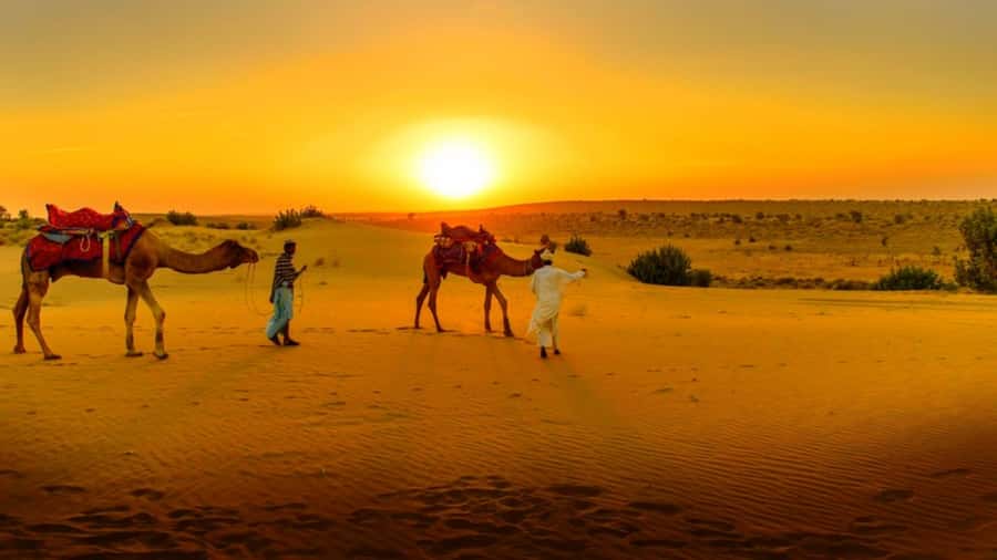 From Marrakech: Atlas Mountains and Three Valleys Day Trip - Key points to know before booking