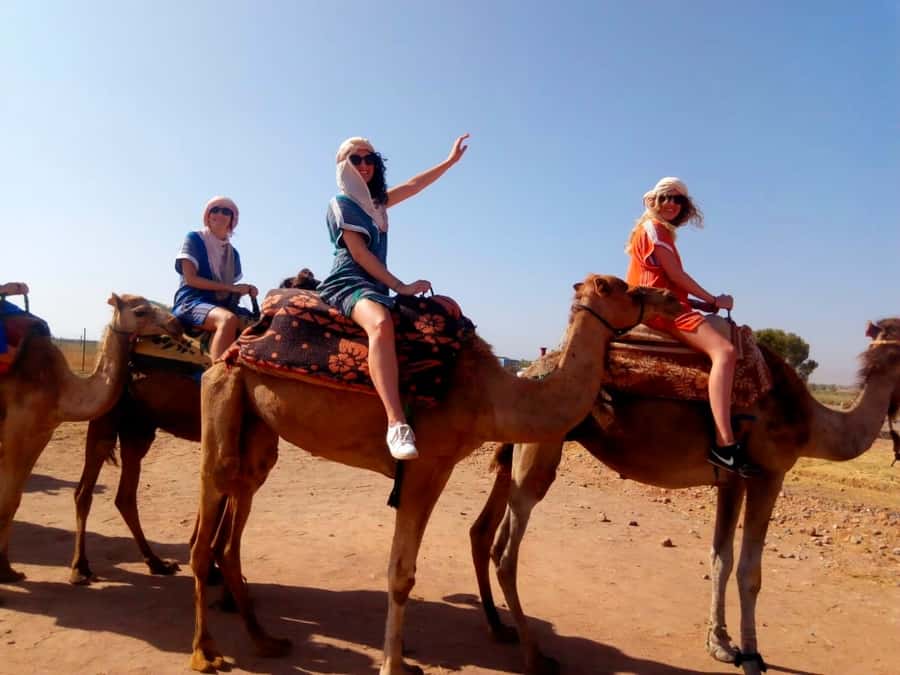 From Marrakech: Atlas Mountains and Three Valleys Day Trip - From Marrakech to the red rock country