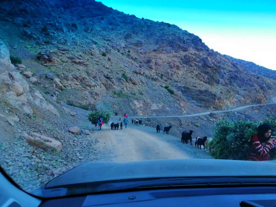 From Marrakech: Atlas Mountains and Three Valleys Day Trip - Who will enjoy this day most?