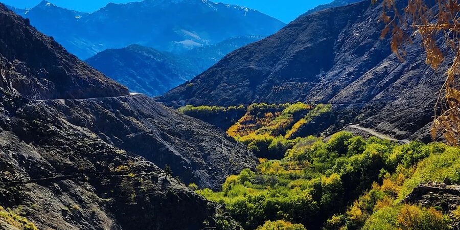 From Marrakech: Atlas Mountains Day Trip with Camel Ride - Is $17 genuinely good value?