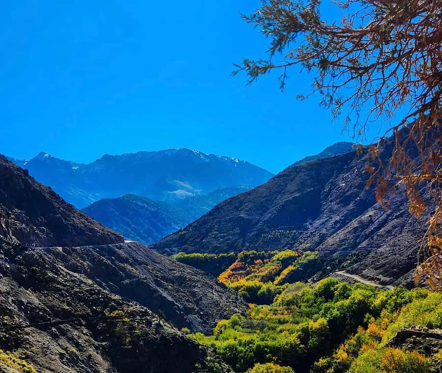From Marrakech: Atlas Mountains Day Trip with Camel Ride - Tamatert and views toward Mount Toubkal