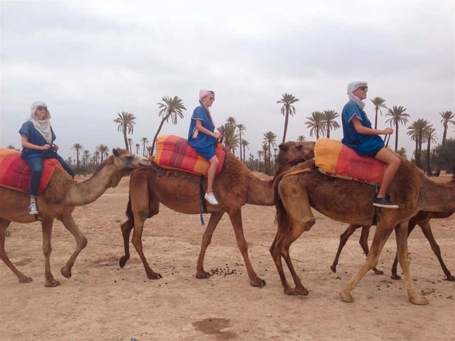 From Marrakech: Camel Ride, Quad Bike & Spa Full-Day Trip - Key points at a glance