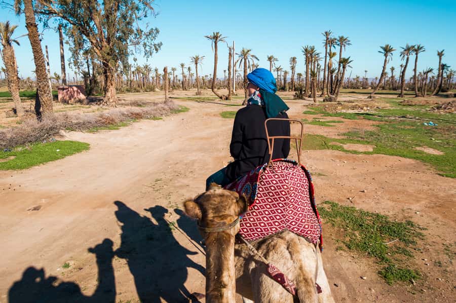 From Marrakech: Camel Ride, Quad Bike & Spa Full-Day Trip - Leaving Marrakech for the Palmeraie