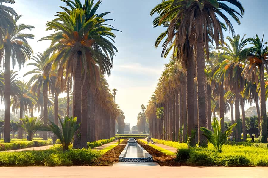 From Marrakech: Casablanca Day Trip by van - Who should book this day trip?