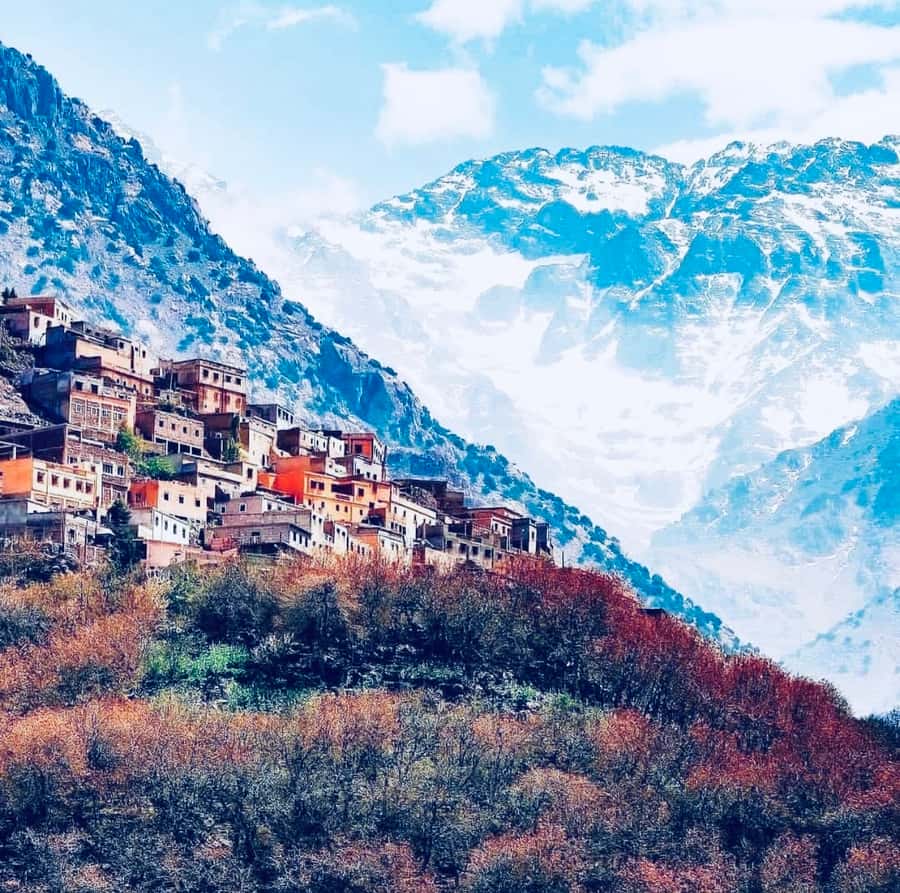 From Marrakech: Day Trip to Anima Garden and Imlil Valley - Key points to know before booking