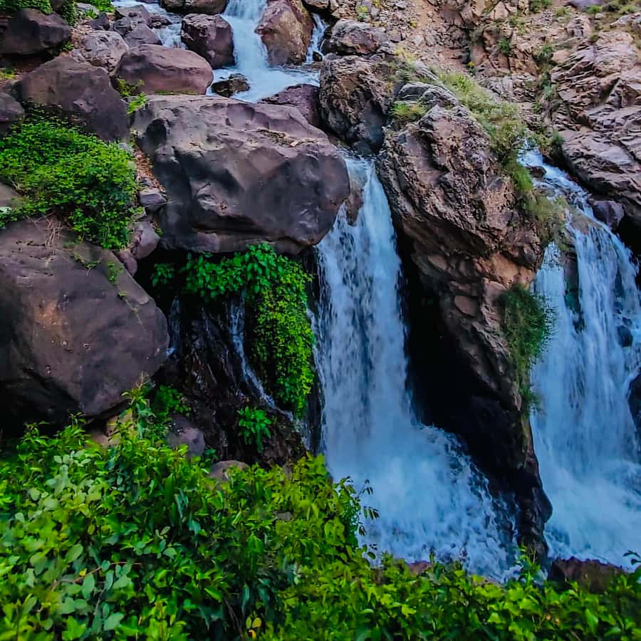From Marrakech: Day Trip to Anima Garden and Imlil Valley - Why this Marrakech day trip works