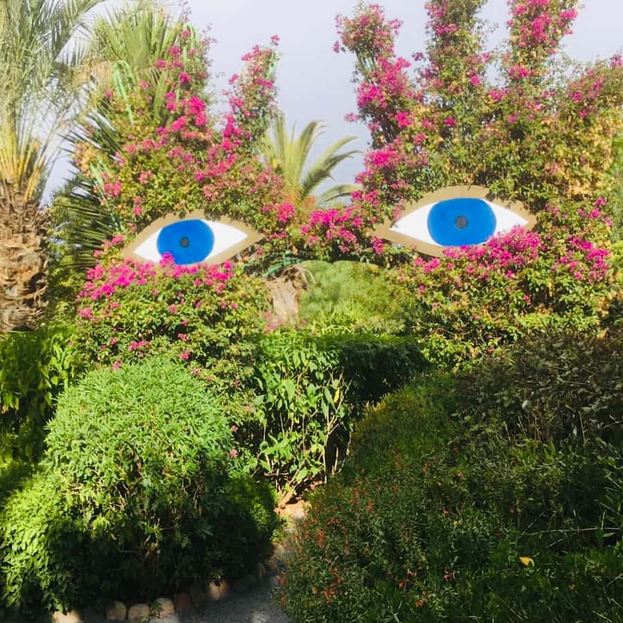 From Marrakech: Day Trip to Anima Garden and Imlil Valley - Guides, drivers, and the feel of the day