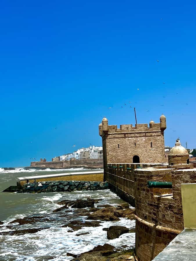 From Marrakech: Day Trip to Essaouira with Transfers - The argan oil cooperative near Ounagha