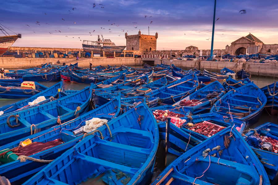 From Marrakech: Essaouira & Atlantic Coast Full-Day Trip - The drivers can shape the day