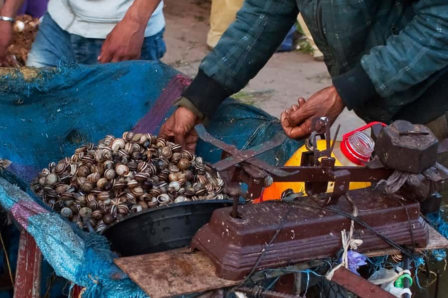 From Marrakech: Essaouira & Atlantic Coast Full-Day Trip - Who should book this Essaouira day trip?