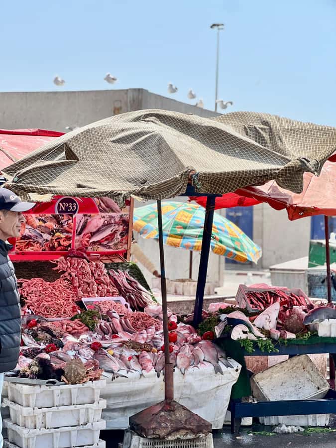 From Marrakech: Essaouira Coastal City Day Trip - How the timing works in real life