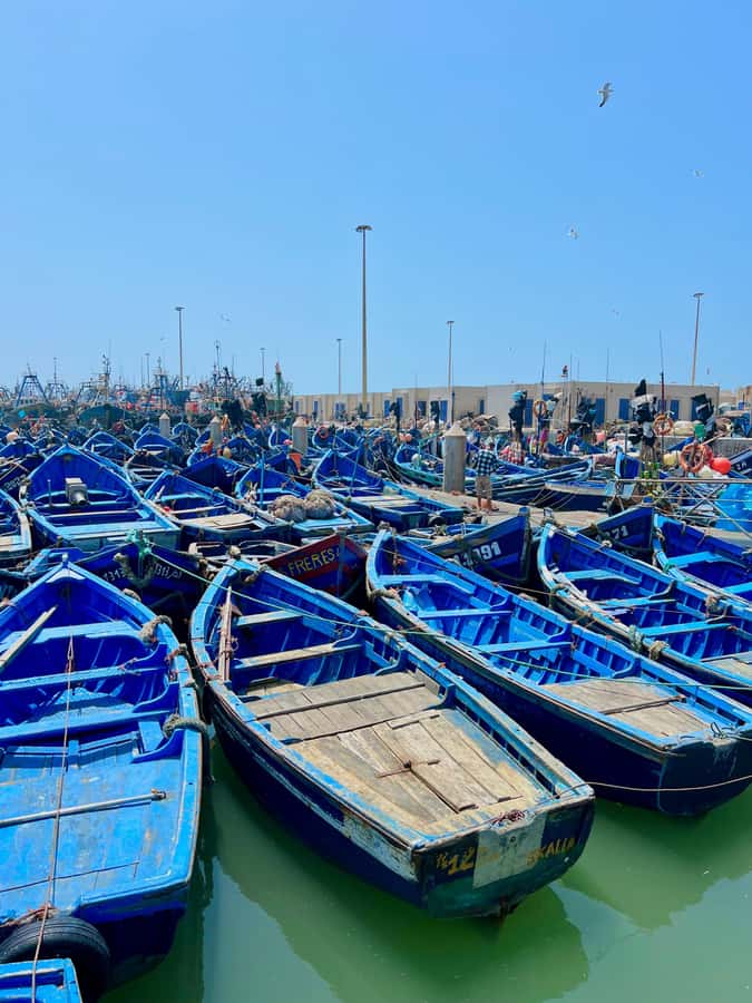 From Marrakech: Essaouira Coastal City Day Trip - Who should book this Essaouira trip
