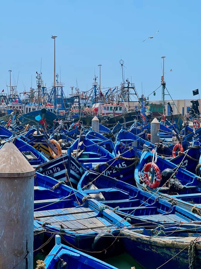 From Marrakech: Essaouira Coastal City Day Trip - Pickup in Marrakech and the long Atlantic road