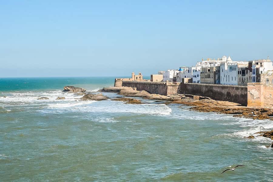 From Marrakech: Essaouira Day Tour with Optional Activities - Four free hours around the port and Medina