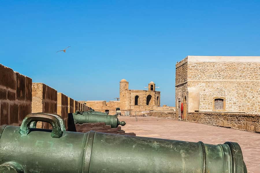 From Marrakech: Essaouira Day Tour with Optional Activities - Lunch by the harbor, with seafood on your own terms