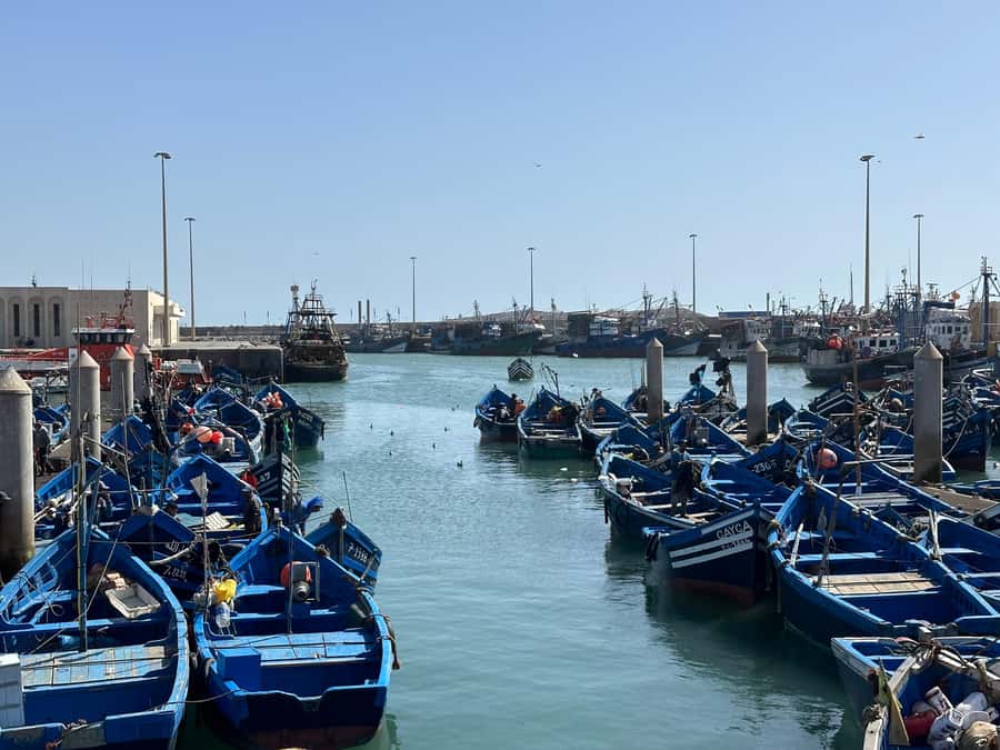 From Marrakech: Essaouira day Trip with camel, horse & quad - Key points to know before booking