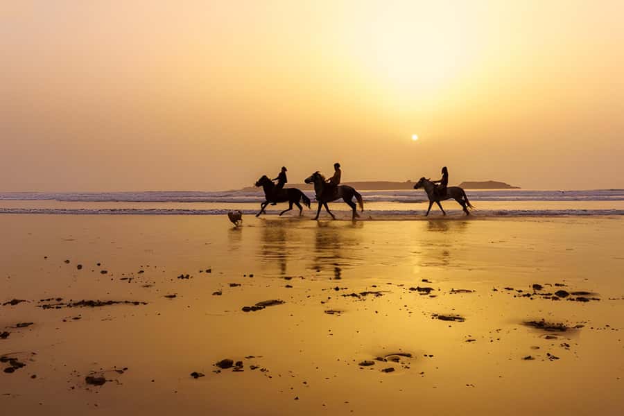 From Marrakech: Essaouira day Trip with camel, horse & quad - Four hours for the medina, shops, and beach