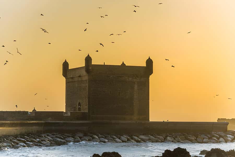 From Marrakech: Essaouira day Trip with camel, horse & quad - Price, comfort, and what is really included