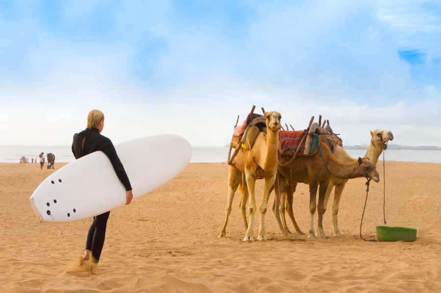 From Marrakech: Essaouira Day Trip with Hotel Pickup - The road from Marrakech to the Atlantic
