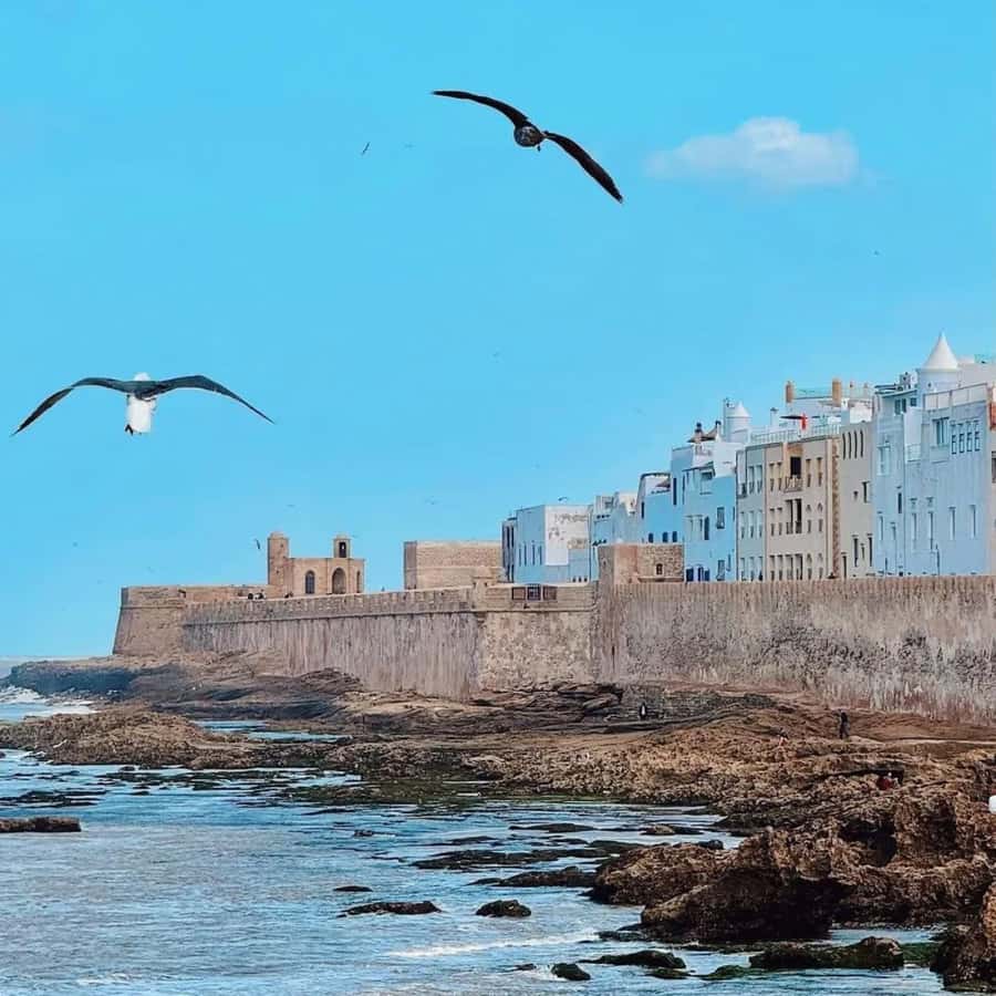 From Marrakech: Essaouira Full day trip, beach and History - Beach time and the slower side of Essaouira