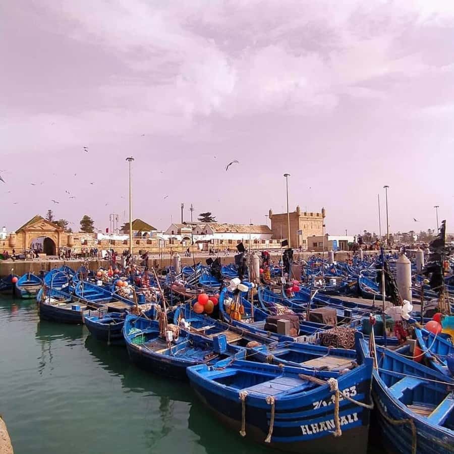 From Marrakech: Essaouira Full day trip, beach and History - Lunch, shopping, and using your free time well