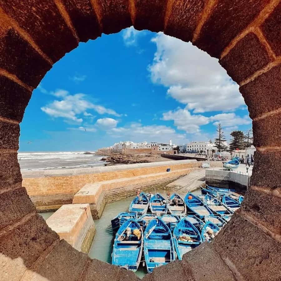 From Marrakech: Essaouira Full day trip, beach and History - Comfort, timing, and who should book
