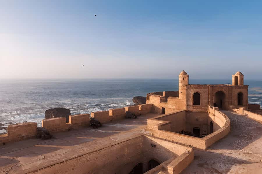From Marrakech: Essaouira Full-Day Trip with Activities - The argan oil cooperative: a worthwhile first stop