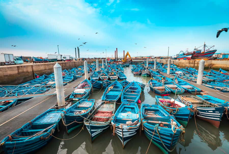 From Marrakech: Essaouira Private Full-Day Trip - FAQ