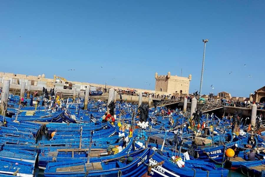 From Marrakech: Essaouira Private Full-Day Trip - The fish market and a practical seafood lunch
