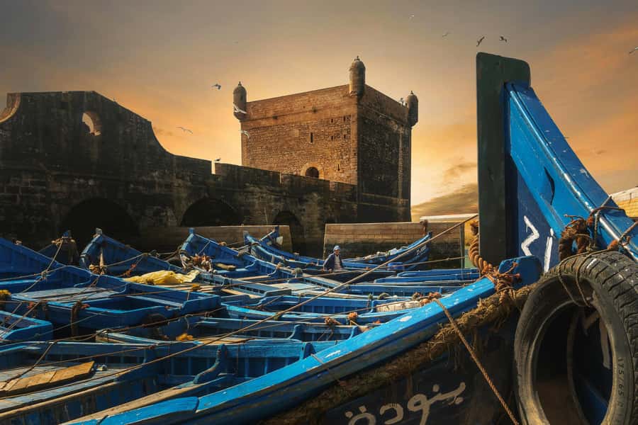 From Marrakech: Essaouira Private Full-Day Trip - Free time for the medina, shops, and beach