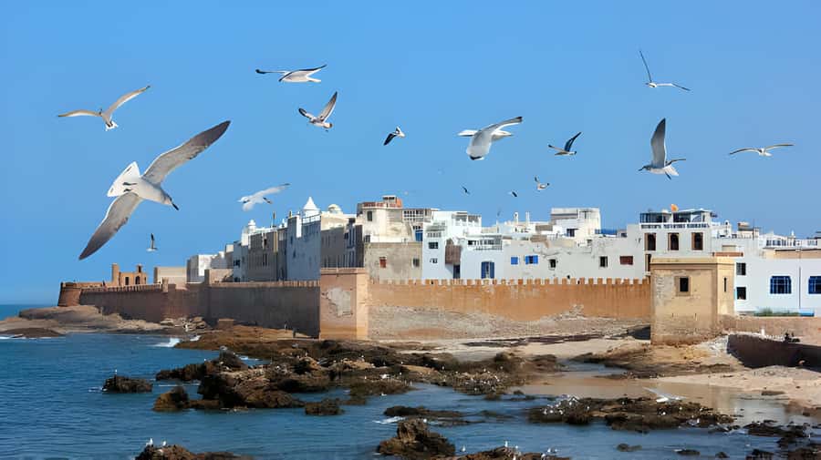 From Marrakech: Essaouira Private Full-Day Trip - Arriving inside Essaouira’s old walls