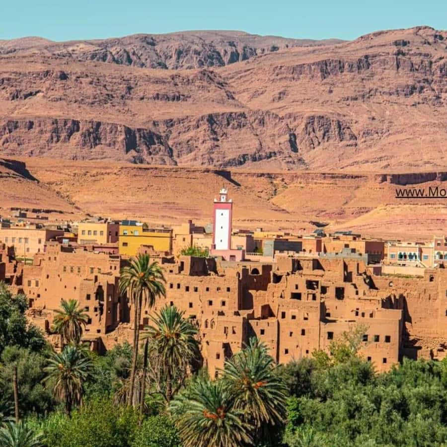 From Marrakech: Ouarzazate & Ait Benhaddou Guided Day Trip - What makes this day trip worth your time