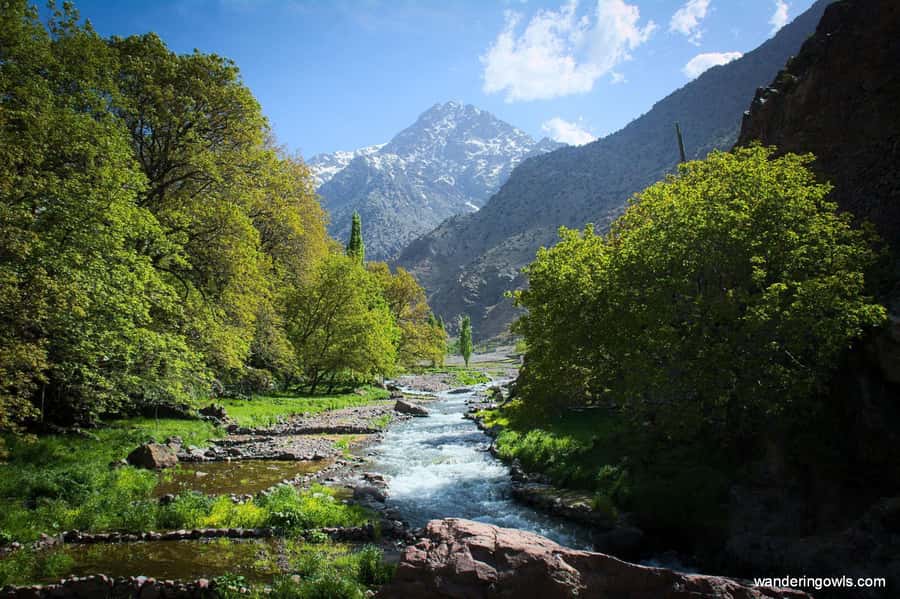 From Marrakech: Ourika Valley Day Trip with Lunch - At a glance