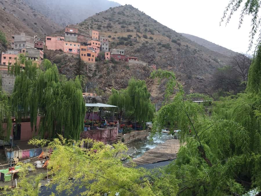 From Marrakech: Ourika Valley Day Trip with Lunch - The women’s argan oil co-operative