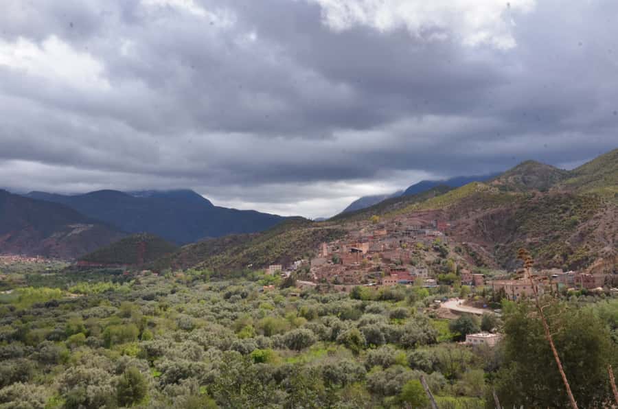 From Marrakech: Ourika Valley Day Trip with Lunch - Who should book this day trip