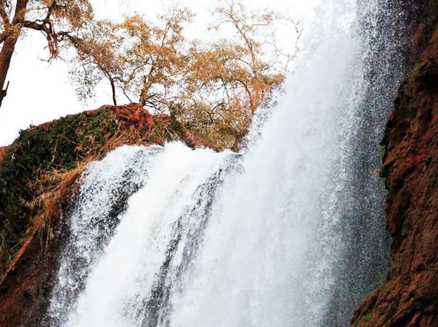 From Marrakech: Private Ouzoud Falls & Boat Ride Day Trip - Lunch above the river, with a choice to make
