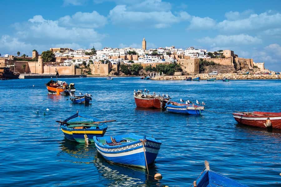 From Marrakech: Small Group To Essaouira & Medina Day Trip - Key points to know before you book