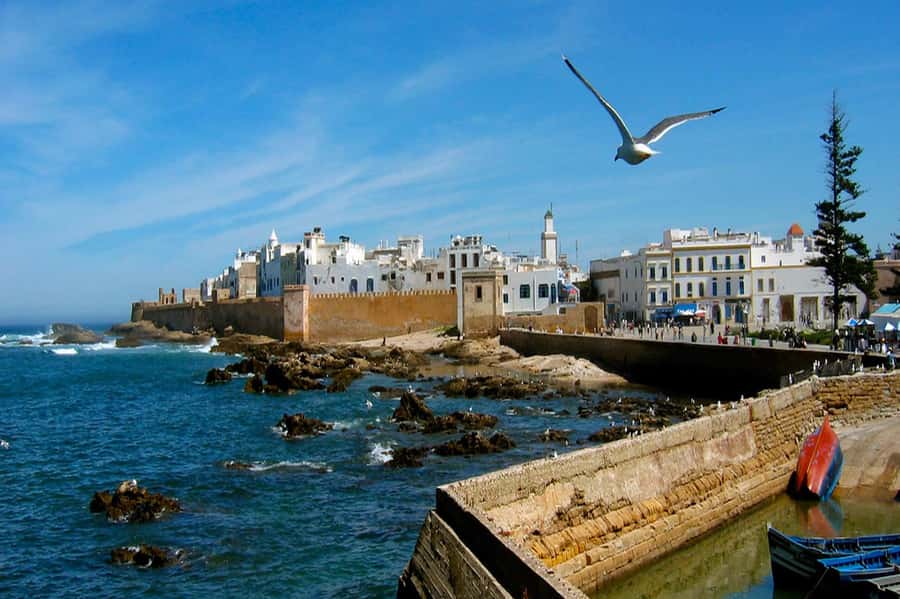 From Marrakech: Small Group To Essaouira & Medina Day Trip - Is the Essaouira day trip worth booking?