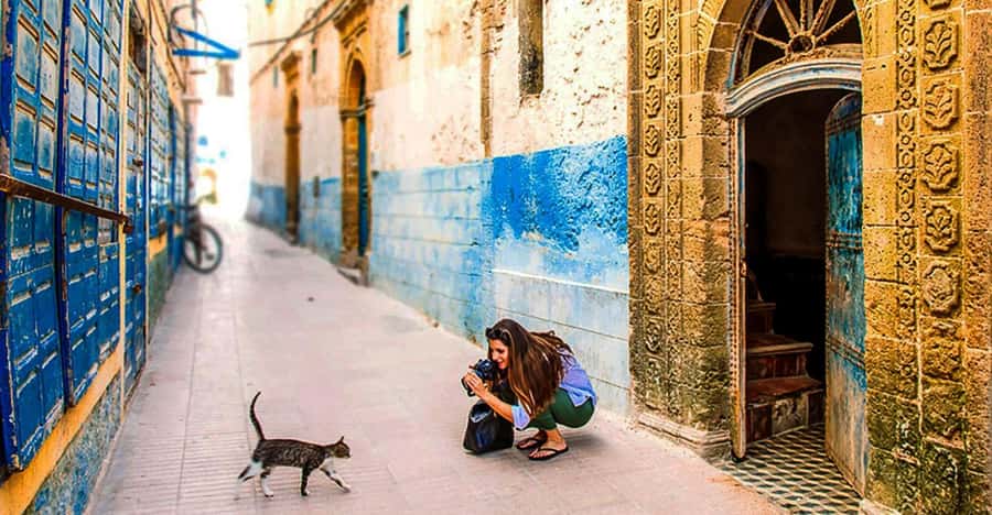 From Marrakech: Small Group To Essaouira & Medina Day Trip - Why Essaouira makes a good escape from Marrakech