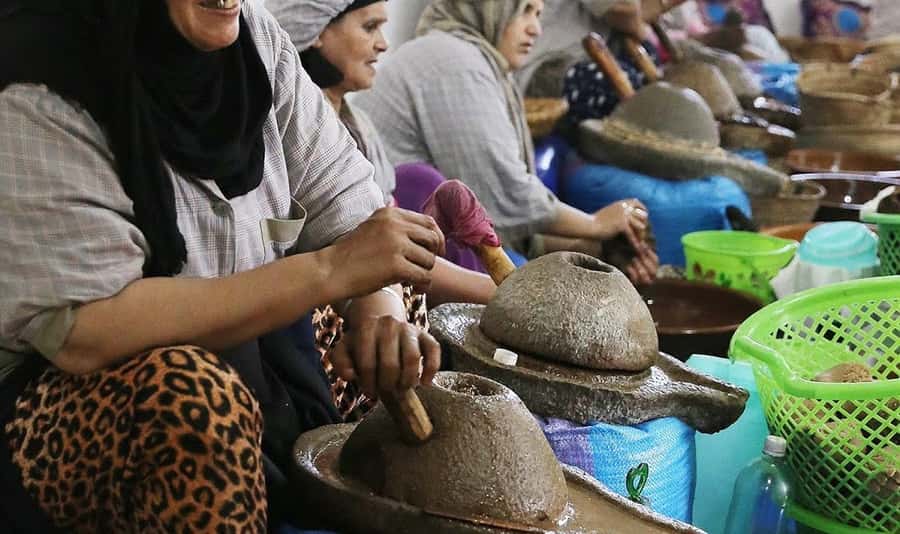 From Marrakech: Small Group to Essaouira & Sekkala Day Trip - Who gets the best value from this $15 trip