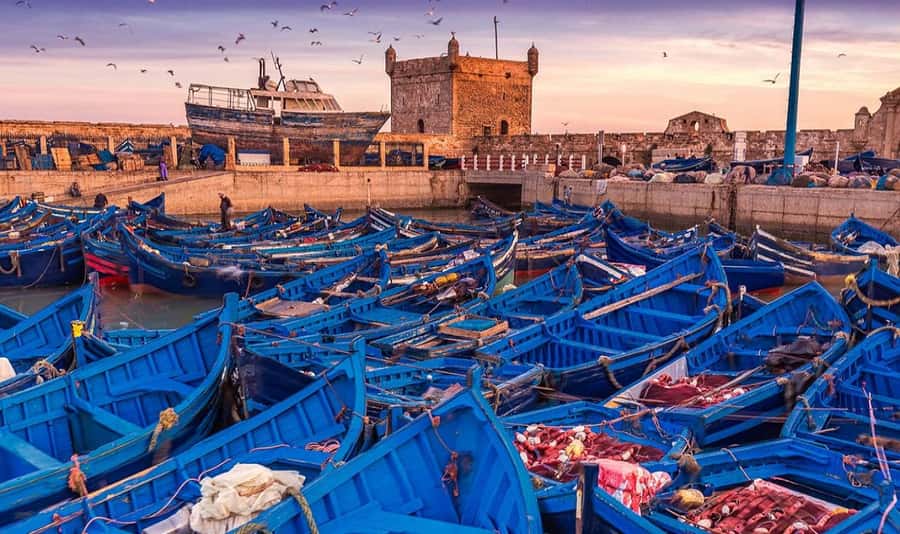 From Marrakech: Small Group to Essaouira & Sekkala Day Trip - Seeing argan oil beyond the souvenir shelf