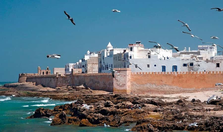 From Marrakech: Small Group to Essaouira & Sekkala Day Trip - Seafood, beach time, and your own pace