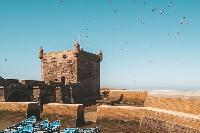 From Marrakech To Essaouira Mogador Full Day Trip | Small-group - Lunch, shopping, and the value of free time