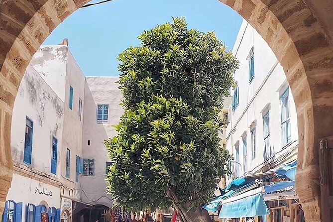 From Marrakech To Essaouira Mogador Full Day Trip | Small-group - How late can the return be?
