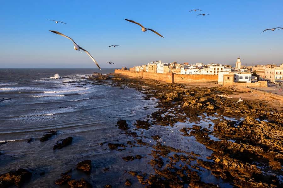 From Marrakech To Essaouira Mogador Full Day Trip Smallgroup - Key points to know