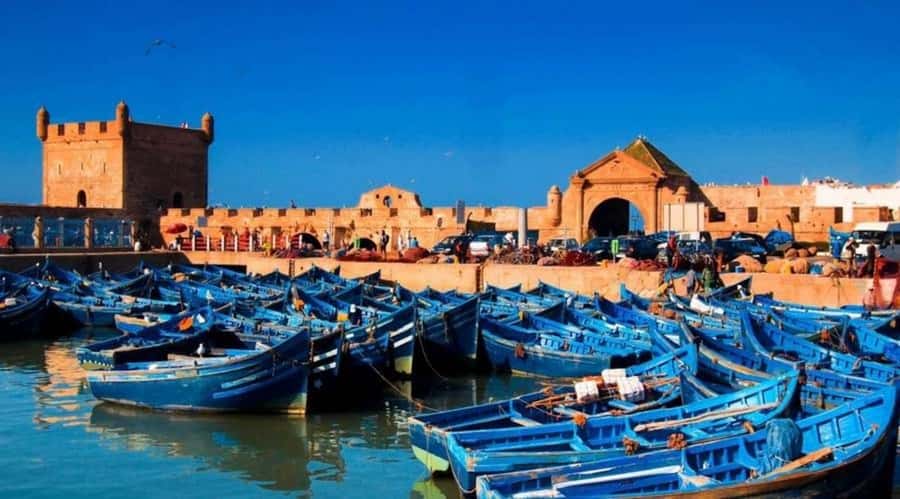 From Marrakech To Essaouira Mogador Full Day Trip Smallgroup - The argan tree stop and women’s cooperative